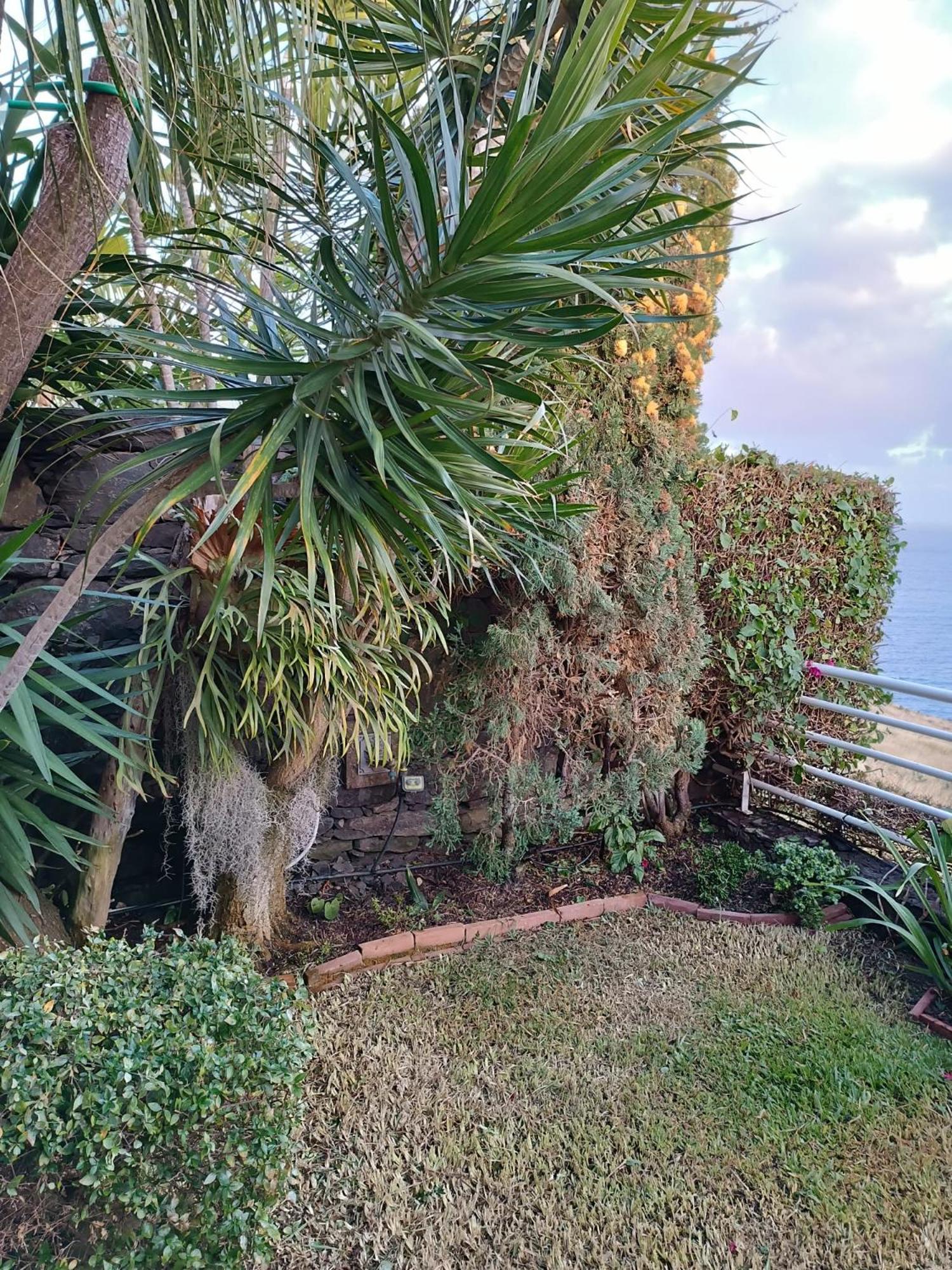 Moradia T2 Madeira Villa Funchal  Kültér fotó