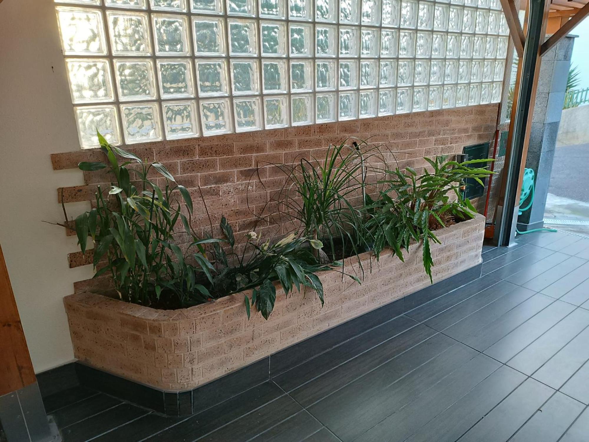 Moradia T2 Madeira Villa Funchal  Kültér fotó