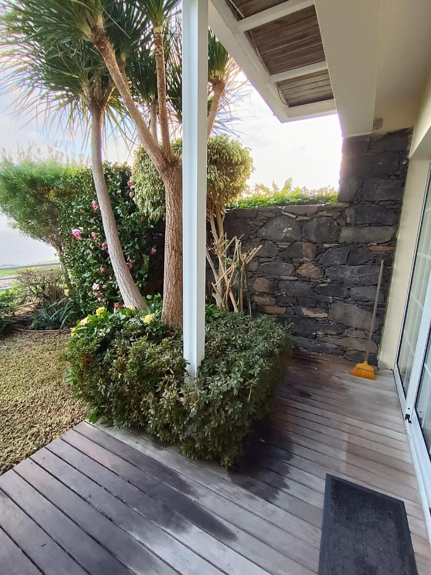Moradia T2 Madeira Villa Funchal  Kültér fotó