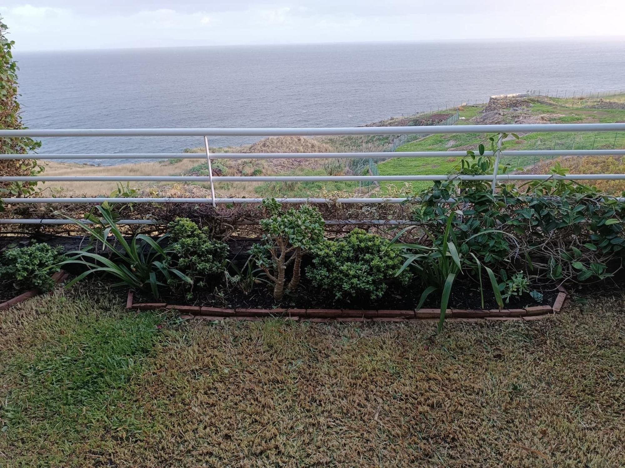 Moradia T2 Madeira Villa Funchal  Kültér fotó